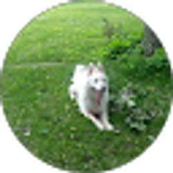 Profile photo of Rick Jones