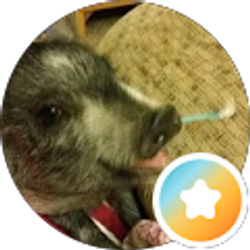 Profile photo of Vincent Ruiz (MadOink)