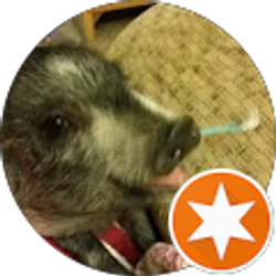 Profile photo of Vincent Ruiz (MadOink)