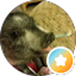 Profile photo of Vincent Ruiz (MadOink)