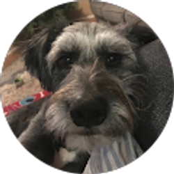 Profile photo of Shannon Chavez