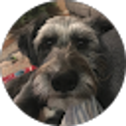Profile photo of Shannon Chavez