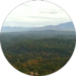 Profile photo of Manish Namburi