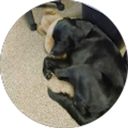 Profile photo of Becky Lewis
