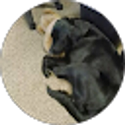 Profile photo of Becky Lewis