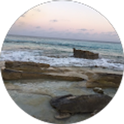 Profile photo of Olivia Martin