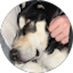 Profile photo of Lealland Hallstrom