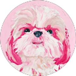 Profile photo of Krisse Bruton