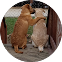 Profile photo of Zelda Leigh