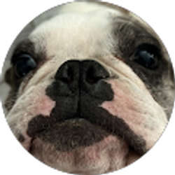 Profile photo of Andres Trujillo