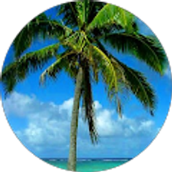 Profile photo of Debbie