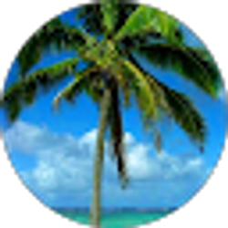 Profile photo of Debbie