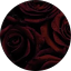 Profile photo of Luckee Aragon