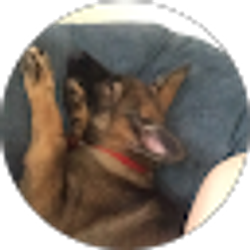 Profile photo of Cody Crisp