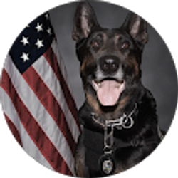 Profile photo of Jeremy Mohn