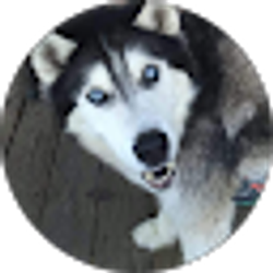 Profile photo of Kirk McDannell