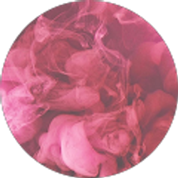 Profile photo of Midley Joseph