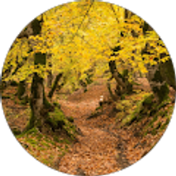 Profile photo of Jordan (JorG)