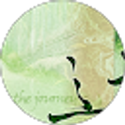 Profile photo of fc morgan