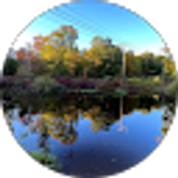 Profile photo of Mark Thompson