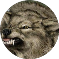 Profile photo of Brian Taylor