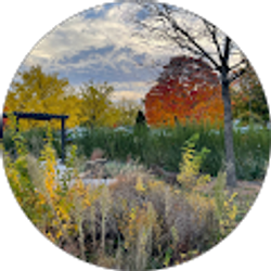 Profile photo of JOLANTA W