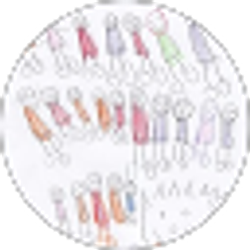 Profile photo of Caroline X