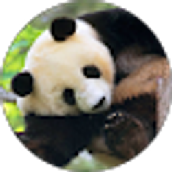 Profile photo of Max Gao