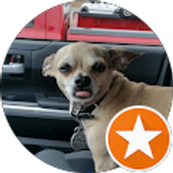 Profile photo of Mike Bailey