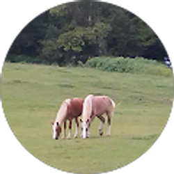 Profile photo of Chris Ball Sr.