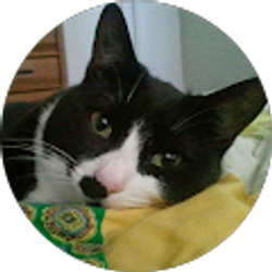 Profile photo of Andrea Vickers