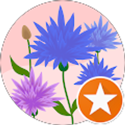 Profile photo of Kacie