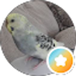 Profile photo of Hud G