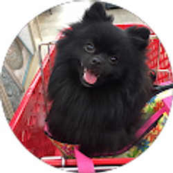 Profile photo of Pamela Z