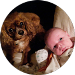 Profile photo of Ryan McMurray