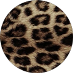 Profile photo of Daniela Rico