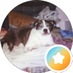 Profile photo of TERI POLLARD