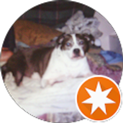 Profile photo of TERI POLLARD