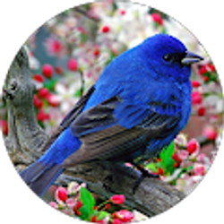 Profile photo of Katherine Guerin