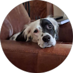 Profile photo of S B