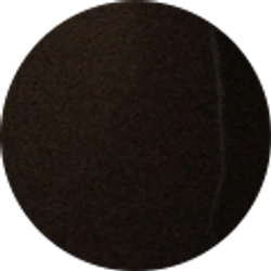 Profile photo of Tony Roselli