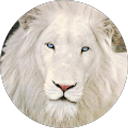 Profile photo of Bob Dowdy