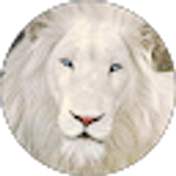 Profile photo of Bob Dowdy