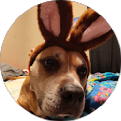 Profile photo of AD Price