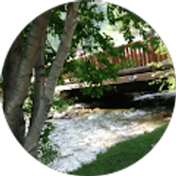 Profile photo of Jaime Harris