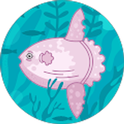 Profile photo of Diana R Rios