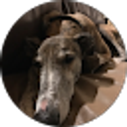 Profile photo of jennifer leichliter
