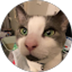 Profile photo of Evan Bowman