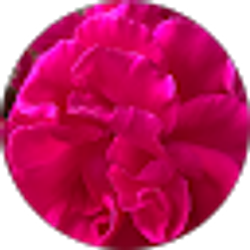 Profile photo of Felishia McMurray