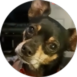 Profile photo of sherri desmarais